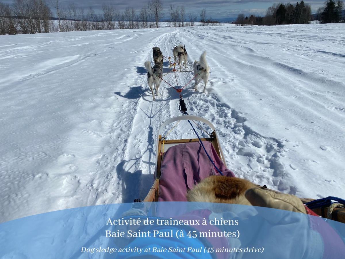 Husky - Chalets De Moh - Jacuzzi La Malbaie Luaran gambar