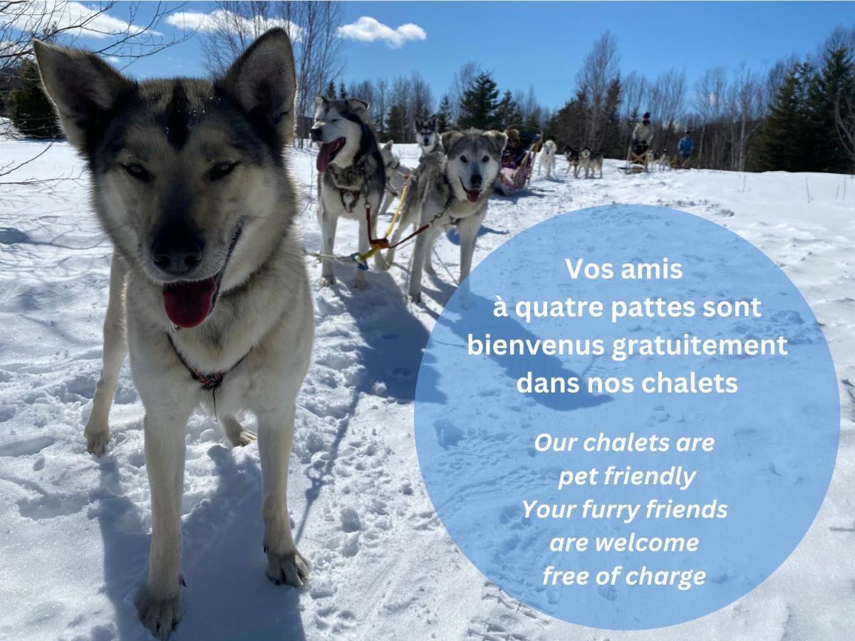 Husky - Chalets De Moh - Jacuzzi La Malbaie Luaran gambar